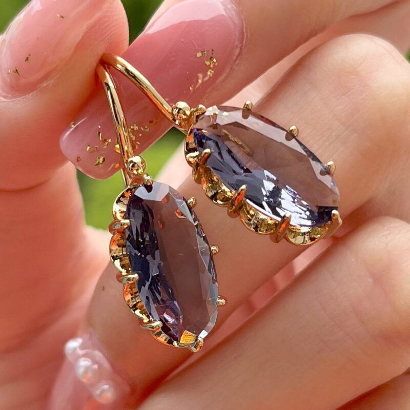 Women's Fashion Simple Inlaid Gem Eight-claw Buckle Earrings - Image 2