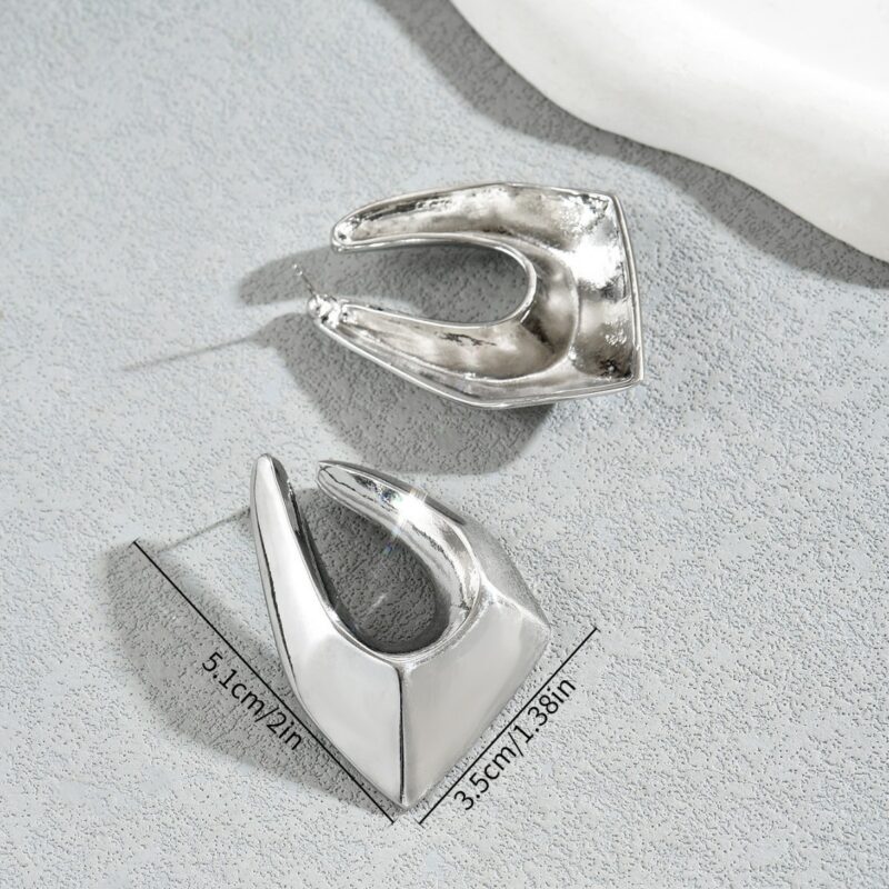 Geometric Women's Exaggerated Earrings Niche - Image 2