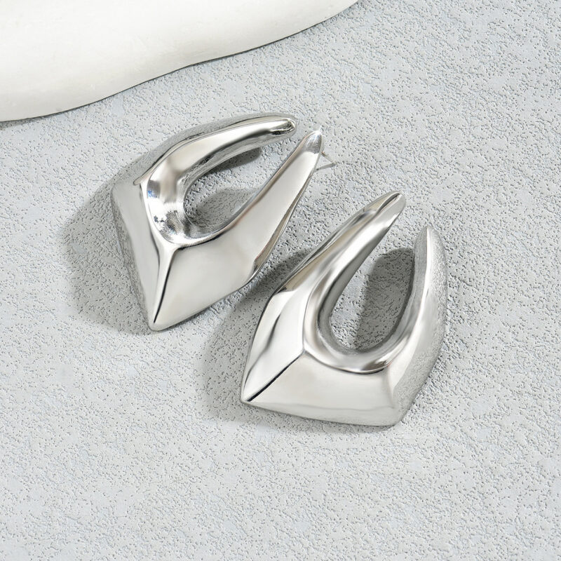 Geometric Women's Exaggerated Earrings Niche - Image 3